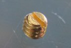 Fender Small Set Screw for Knobs 6-32×1/8 Gold 0058786000